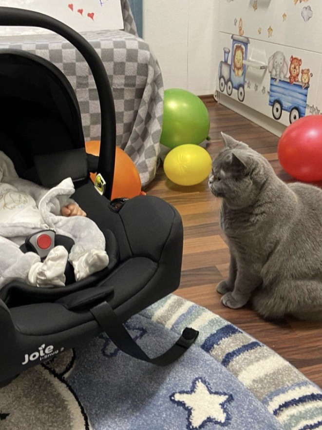 Imamo kućnog ljubimca, a uskoro nam stiže i&nbsp;beba.