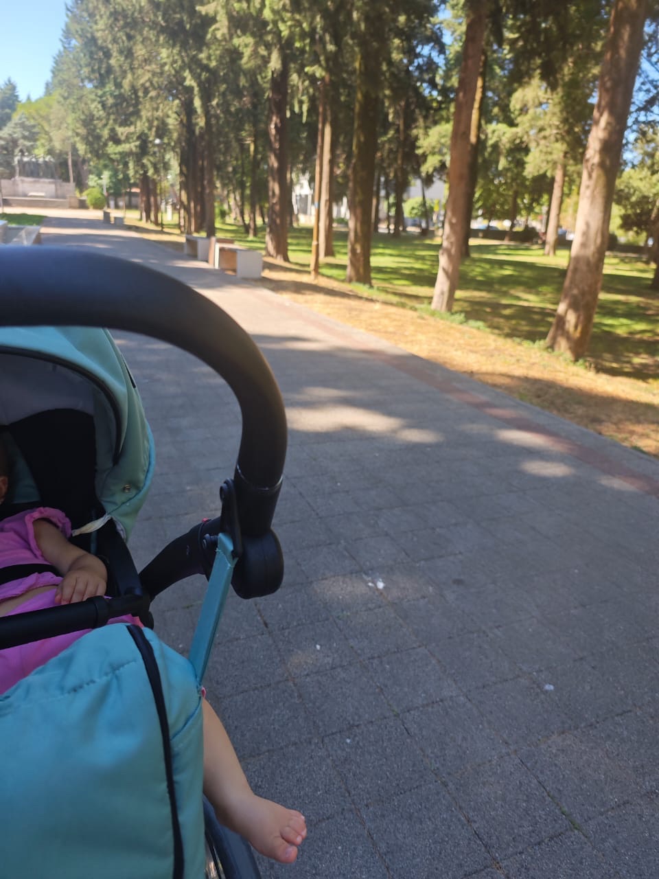 Odlazak u šetnju ravno&nbsp;selidbi