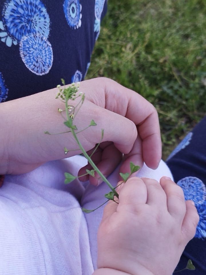 Verovali smo! Naša životna&nbsp;priča