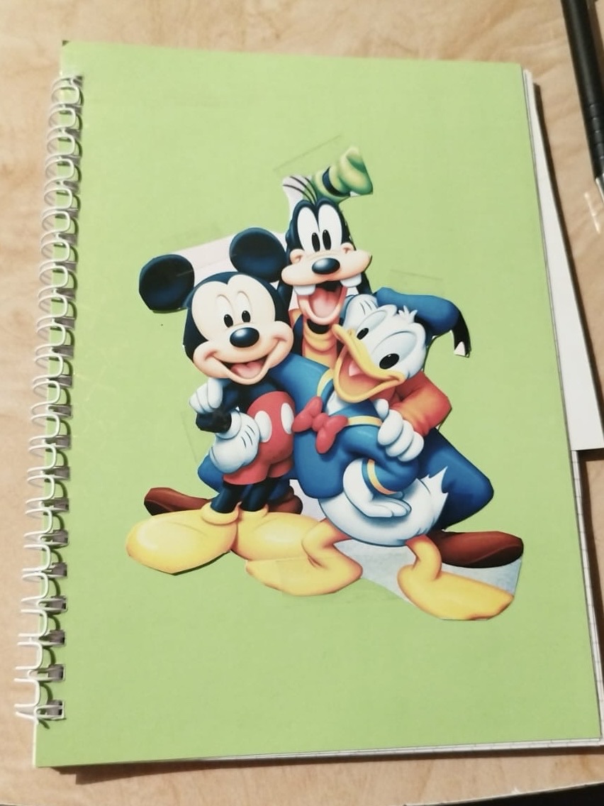 Dnevnik moje trudnoće